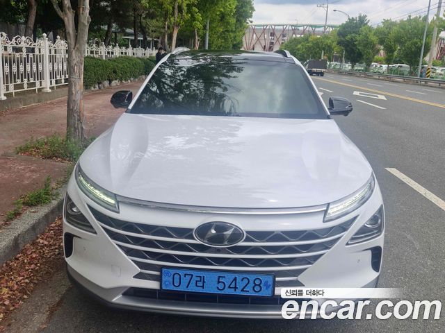 Hyundai Nexo Premium — пробег 158 191 км — фото 1 из 5