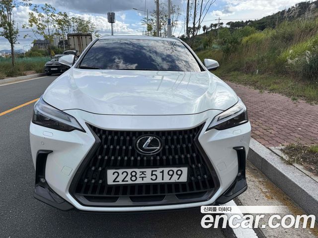 Lexus NX Premium — пробег 55 500 км — фото 2 из 5
