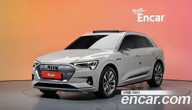 Audi e-tron 55 Quattro — пробег 37 096 км — фото 1 из 5