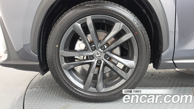 Lexus NX Premium — пробег 23 893 км — фото 5 из 5
