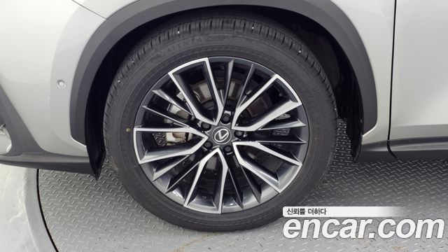 Lexus NX Luxury — пробег 17 685 км — фото 5 из 5