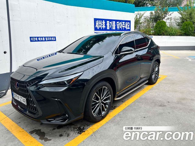 Lexus NX Luxury — пробег 3 100 км — фото 1 из 5